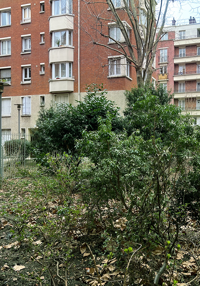 Be-cosmo, appel à manifestation d'interêt, artiste, paris, jardin, Charles Hermite, quartier, 18ème