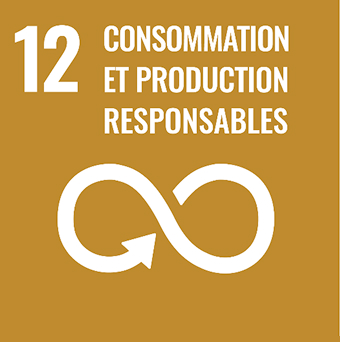 be-cosmo-a-propos-de-nous-contribution-developpement-durable06 be-cosmo-a-propos-de-nous-contribution-developpement-durable06